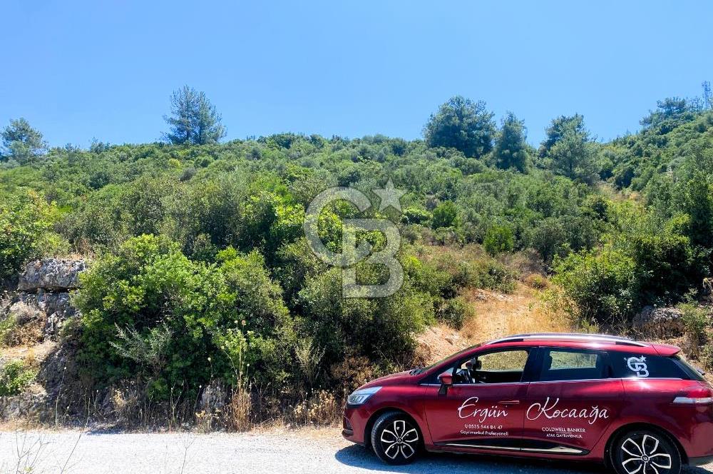 Urla Torasan’da Deniz Manzaralı 9242 m² Arazi