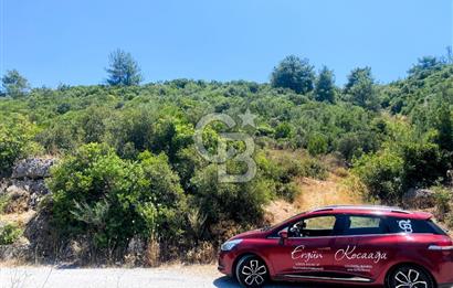 Urla Torasan’da Deniz Manzaralı 9242 m² Arazi