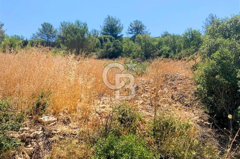 Urla Torasan’da Deniz Manzaralı 9242 m² Arazi