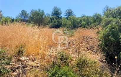 Urla Torasan’da Deniz Manzaralı 9242 m² Arazi
