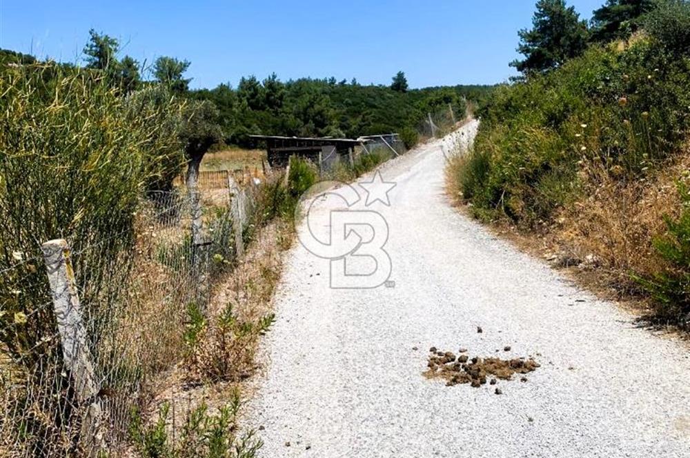 Urla Torasan’da Deniz Manzaralı 9242 m² Arazi