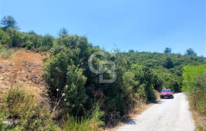 Urla Torasan’da Deniz Manzaralı 9242 m² Arazi