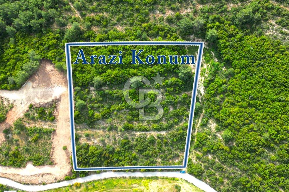 Urla Torasan’da Deniz Manzaralı 9242 m² Arazi