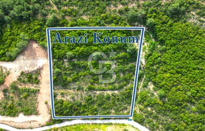 Urla Torasan’da Deniz Manzaralı 9242 m² Arazi