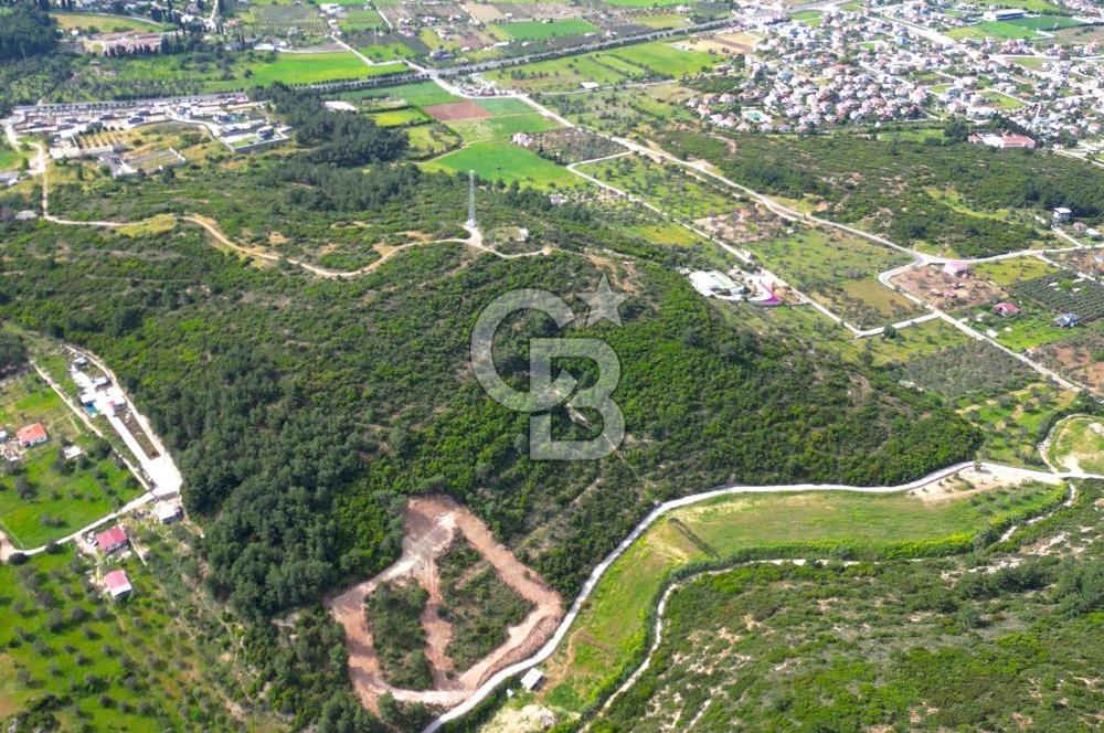 Urla Torasan’da Deniz Manzaralı 9242 m² Arazi