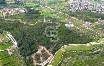 Urla Torasan’da Deniz Manzaralı 9242 m² Arazi