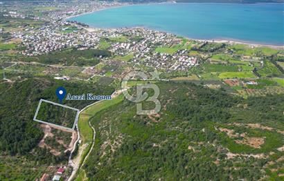 Urla Torasan’da Deniz Manzaralı 9242 m² Arazi