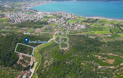 Urla Torasan’da Deniz Manzaralı 9242 m² Arazi