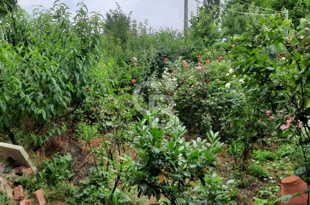 TOKAT BÜYÜKYILDIZ KANAL ALTI TEK TAPU BAHÇE - 1.526M2 VE 2+1 EV