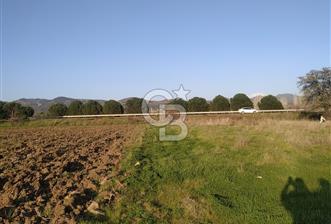 İZMİR DİKİLİ DE ÇANAKKALE ASFALTI ÜZERİ SATILIK 3600M SATILIK TARLA