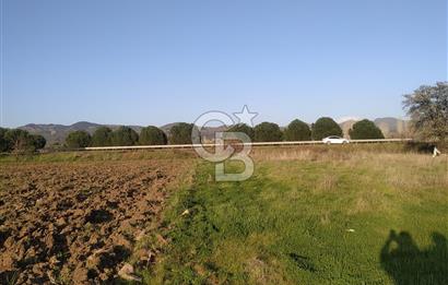 İZMİR DİKİLİ DE ÇANAKKALE ASFALTI ÜZERİ SATILIK 3600M SATILIK TARLA