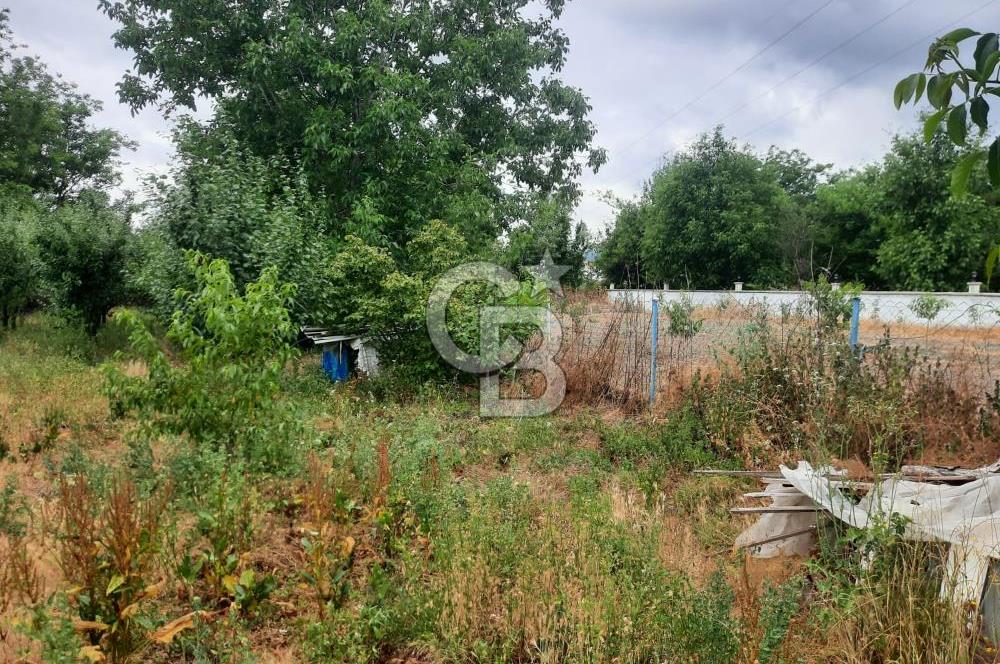 TOKAT BÜYÜKYILDIZ KANAL ALTI TEK TAPU BAHÇE - 1.526M2 VE 2+1 EV