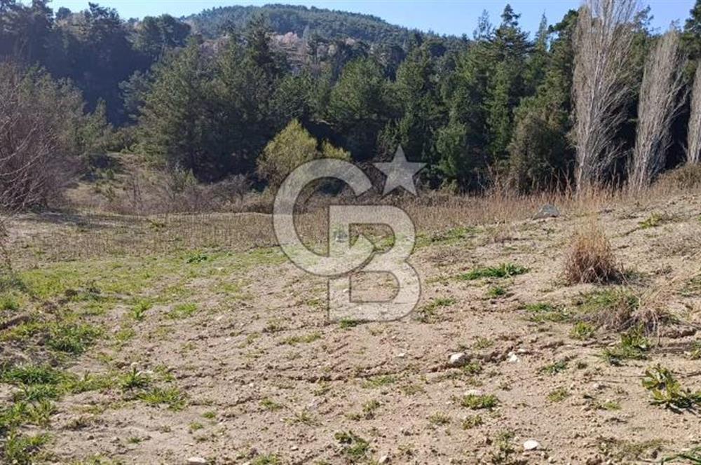 Muğla Günlüce mahallesinde satılık imarlı tarla