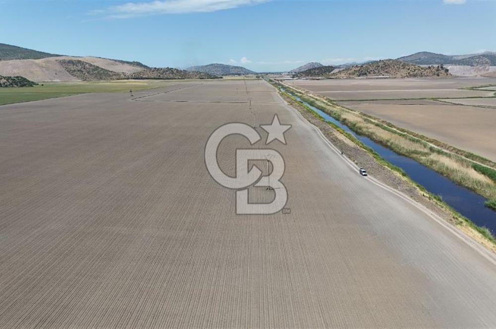 DİKİLİ SALİMBEY'DE 27.000 M2 YATIRIMLIK MUHTEŞEM KUPON ARAZİ
