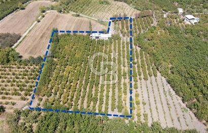 KEMALPAŞA BAĞYURDU YENİ MAH. 10.482 m2 SATILIK BAĞ