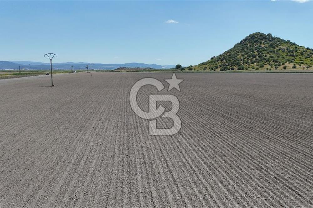 DİKİLİ SALİMBEY'DE 27.000 M2 YATIRIMLIK MUHTEŞEM KUPON ARAZİ