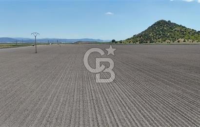 DİKİLİ SALİMBEY'DE 27.000 M2 YATIRIMLIK MUHTEŞEM KUPON ARAZİ