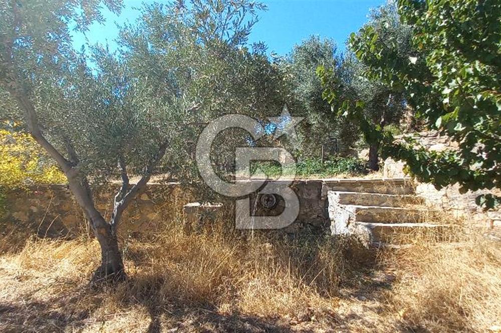 BOZCAADA DENİZ MANZARALI SATILIK MÜSTAKİL EV ve ZEYTİNLİK