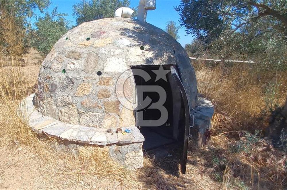 BOZCAADA DENİZ MANZARALI SATILIK MÜSTAKİL EV ve ZEYTİNLİK