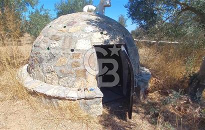 BOZCAADA DENİZ MANZARALI SATILIK MÜSTAKİL EV ve ZEYTİNLİK