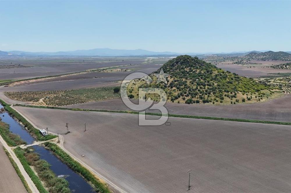 DİKİLİ SALİMBEY'DE 27.000 M2 YATIRIMLIK MUHTEŞEM KUPON ARAZİ