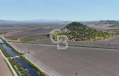 DİKİLİ SALİMBEY'DE 27.000 M2 YATIRIMLIK MUHTEŞEM KUPON ARAZİ