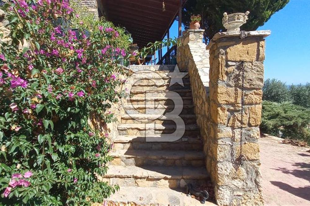 BOZCAADA DENİZ MANZARALI SATILIK MÜSTAKİL EV ve ZEYTİNLİK