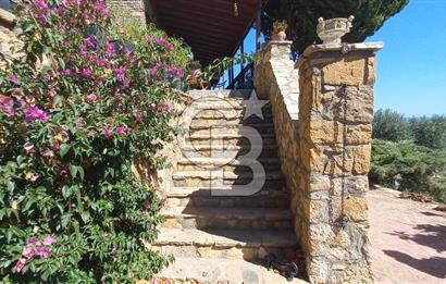 BOZCAADA DENİZ MANZARALI SATILIK MÜSTAKİL EV ve ZEYTİNLİK