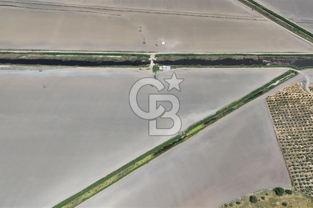 DİKİLİ SALİMBEY'DE 27.000 M2 YATIRIMLIK MUHTEŞEM KUPON ARAZİ