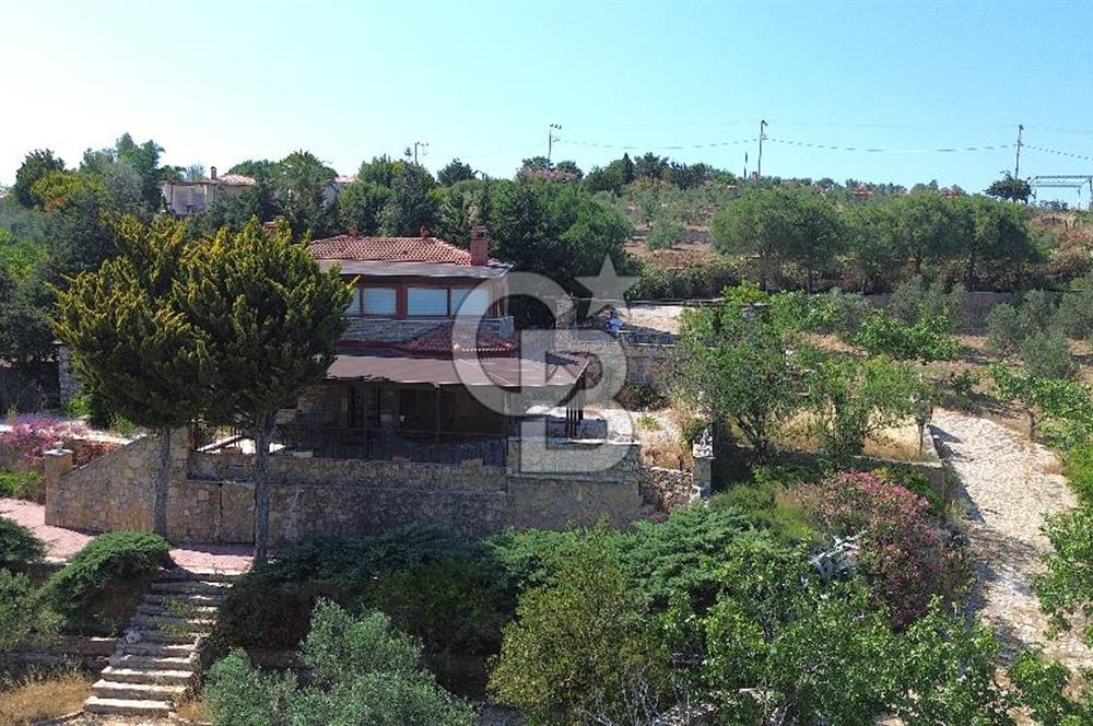 BOZCAADA DENİZ MANZARALI SATILIK MÜSTAKİL EV ve ZEYTİNLİK