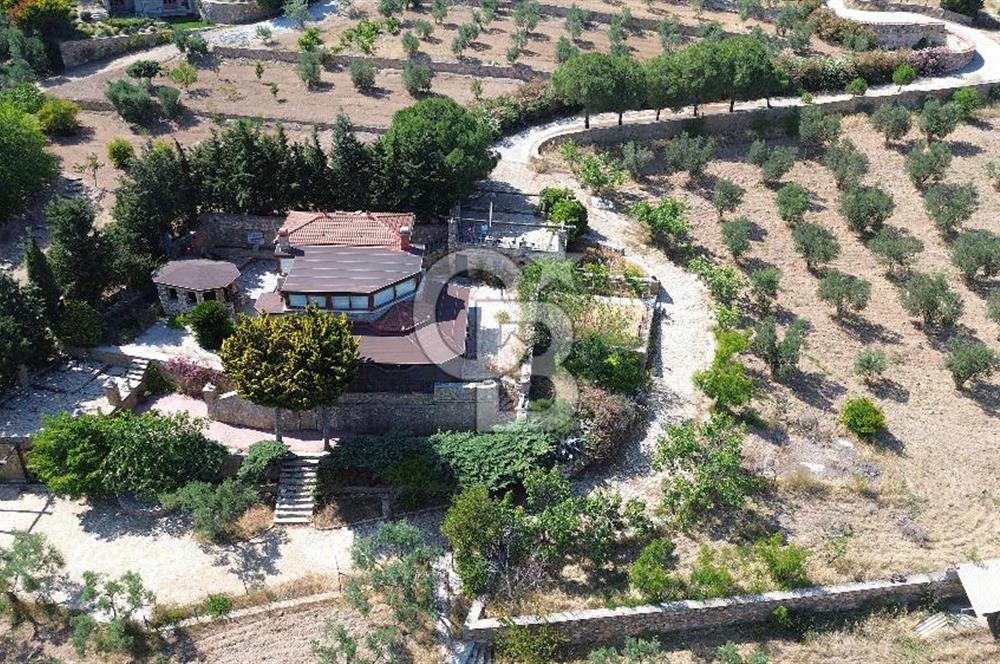 BOZCAADA DENİZ MANZARALI SATILIK MÜSTAKİL EV ve ZEYTİNLİK