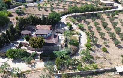 BOZCAADA DENİZ MANZARALI SATILIK MÜSTAKİL EV ve ZEYTİNLİK