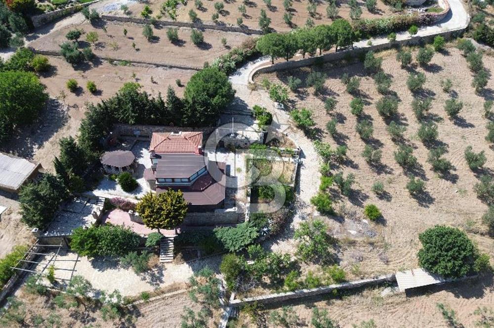 BOZCAADA DENİZ MANZARALI SATILIK MÜSTAKİL EV ve ZEYTİNLİK