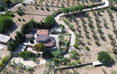 BOZCAADA DENİZ MANZARALI SATILIK MÜSTAKİL EV ve ZEYTİNLİK