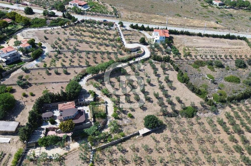 BOZCAADA DENİZ MANZARALI SATILIK MÜSTAKİL EV ve ZEYTİNLİK