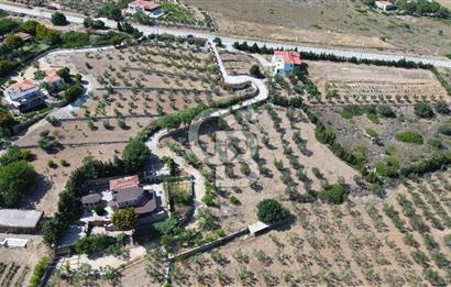 BOZCAADA DENİZ MANZARALI SATILIK MÜSTAKİL EV ve ZEYTİNLİK