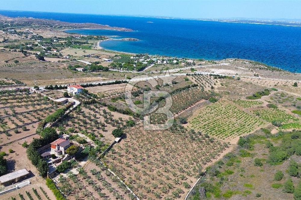 BOZCAADA DENİZ MANZARALI SATILIK MÜSTAKİL EV ve ZEYTİNLİK