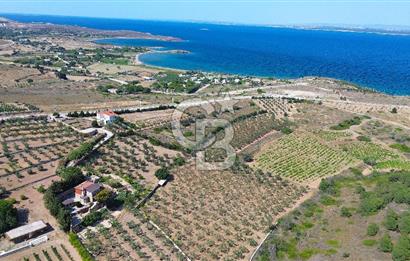 BOZCAADA DENİZ MANZARALI SATILIK MÜSTAKİL EV ve ZEYTİNLİK