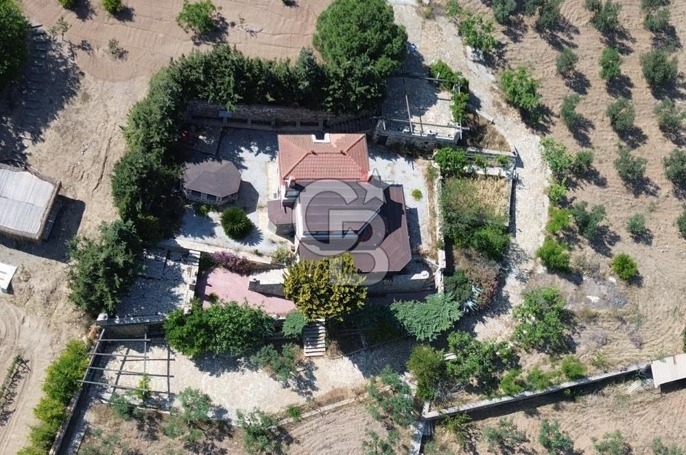 BOZCAADA DENİZ MANZARALI SATILIK MÜSTAKİL EV ve ZEYTİNLİK