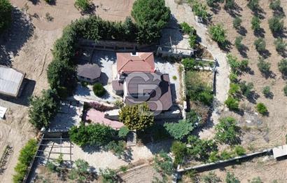 BOZCAADA DENİZ MANZARALI SATILIK MÜSTAKİL EV ve ZEYTİNLİK