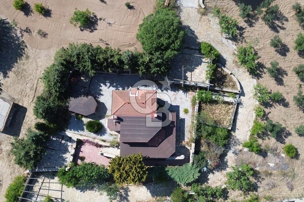 BOZCAADA DENİZ MANZARALI SATILIK MÜSTAKİL EV ve ZEYTİNLİK