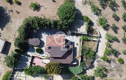 BOZCAADA DENİZ MANZARALI SATILIK MÜSTAKİL EV ve ZEYTİNLİK