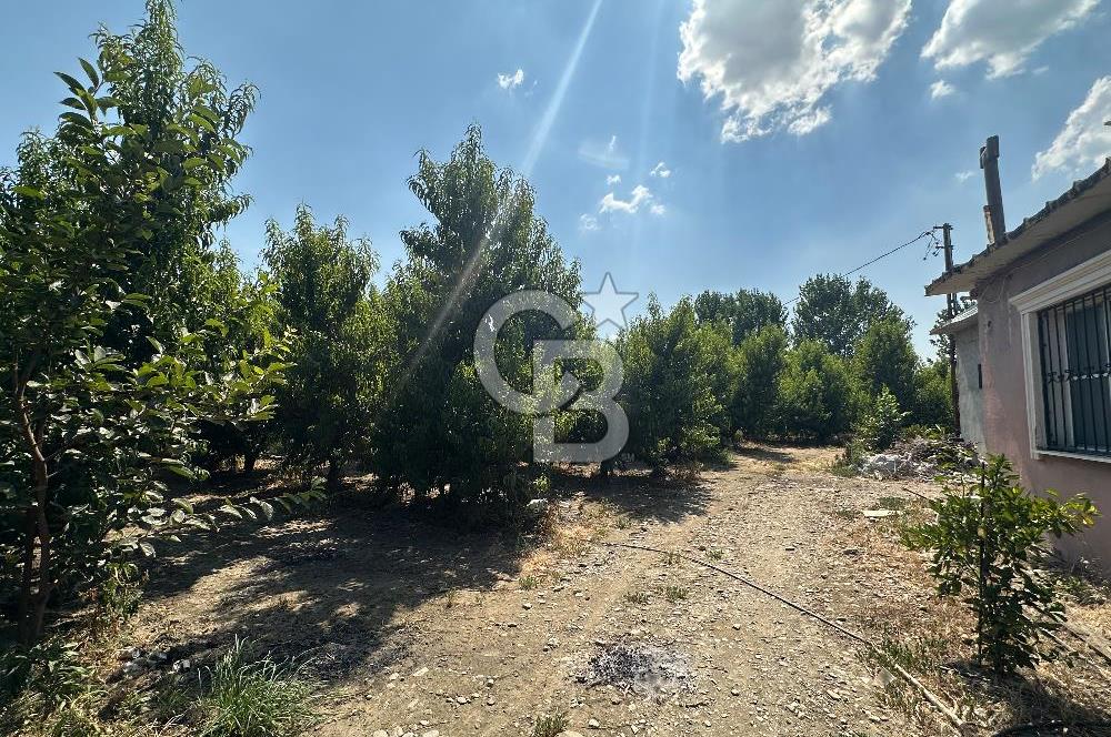 KEMALPAŞA BAĞYURDU YENİ MAH. 10.482 m2 SATILIK BAĞ