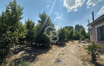 KEMALPAŞA BAĞYURDU YENİ MAH. 10.482 m2 SATILIK BAĞ