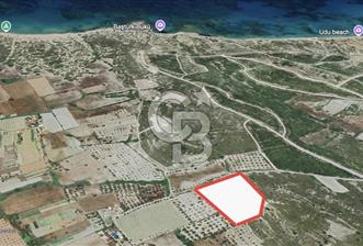 ÇEŞME MUSALLA’DA DENİZE YÜRÜME MESAFESİNDE 230 M2 SATILIK ARAZİ