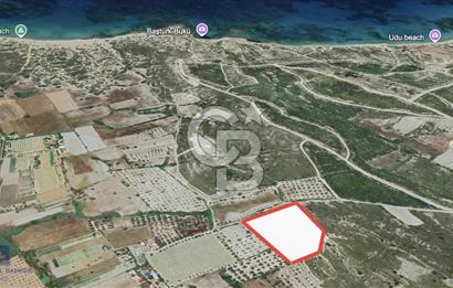 ÇEŞME MUSALLA’DA DENİZE YÜRÜME MESAFESİNDE 230 M2 SATILIK ARAZİ