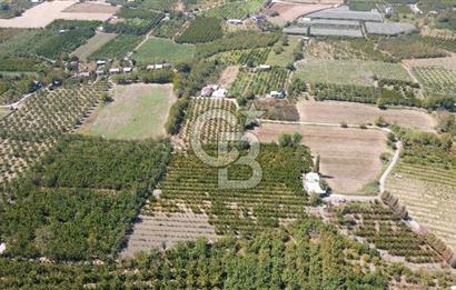 KEMALPAŞA BAĞYURDU YENİ MAH. 10.482 m2 SATILIK BAĞ