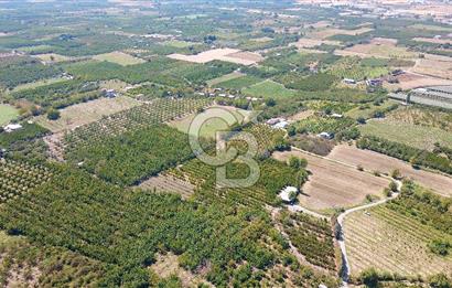 KEMALPAŞA BAĞYURDU YENİ MAH. 10.482 m2 SATILIK BAĞ