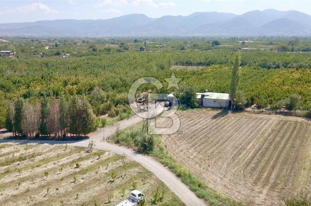 KEMALPAŞA BAĞYURDU YENİ MAH. 10.482 m2 SATILIK BAĞ