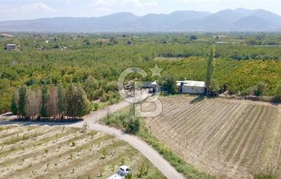 KEMALPAŞA BAĞYURDU YENİ MAH. 10.482 m2 SATILIK BAĞ